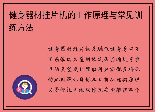 健身器材挂片机的工作原理与常见训练方法