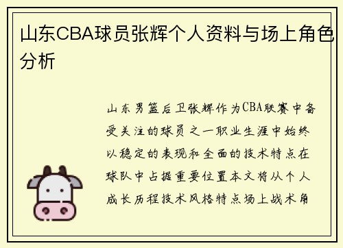 山东CBA球员张辉个人资料与场上角色分析